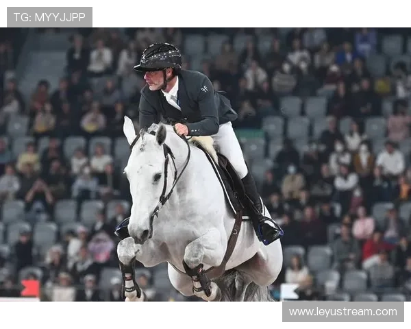 世界马术锦标赛德国举行，观众可近距离接触赛马与骑手